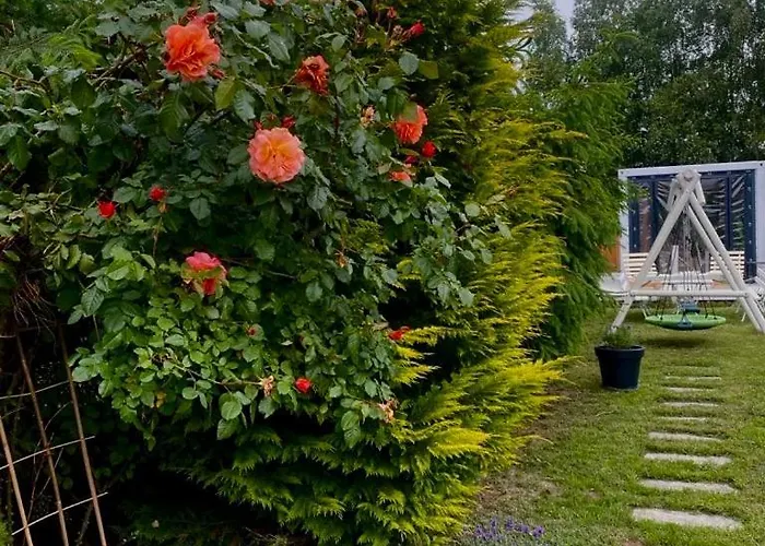 Camping Abordaz Wolin